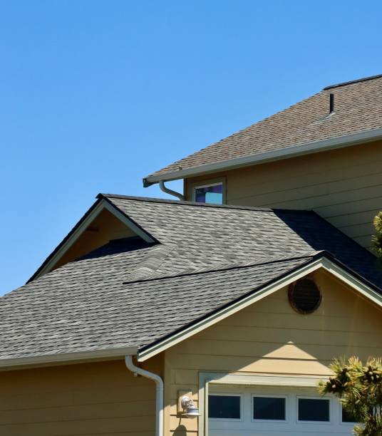 Best Roof Maintenance and Cleaning  in Brooklyn, NY